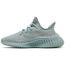 Yeezy Boost 350 V2 Salt