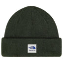 Gorro Aimé Leon Dore x The North Face Verde