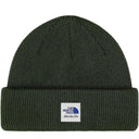Boné Gorro Aimé Leon Dore x The North Face Verde