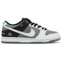 Nike SB Dunk Low Camcorder