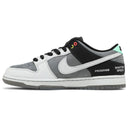 Nike SB Dunk Low Camcorder