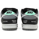Nike SB Dunk Low Camcorder