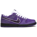 Concepts x Nike SB Dunk Low Purple Lobster