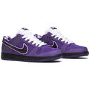 Concepts x Nike SB Dunk Low Purple Lobster