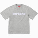 Camiseta Supreme Collegiate Cinza